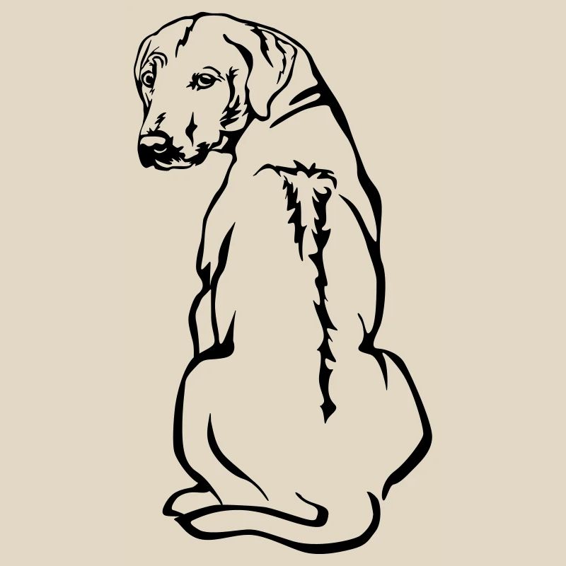 Rhodesian Ridgeback