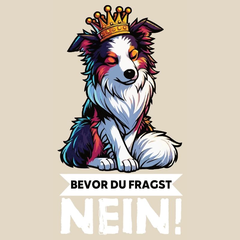 Bevor Du Fragst Australian Shepherd Aussie Aussie