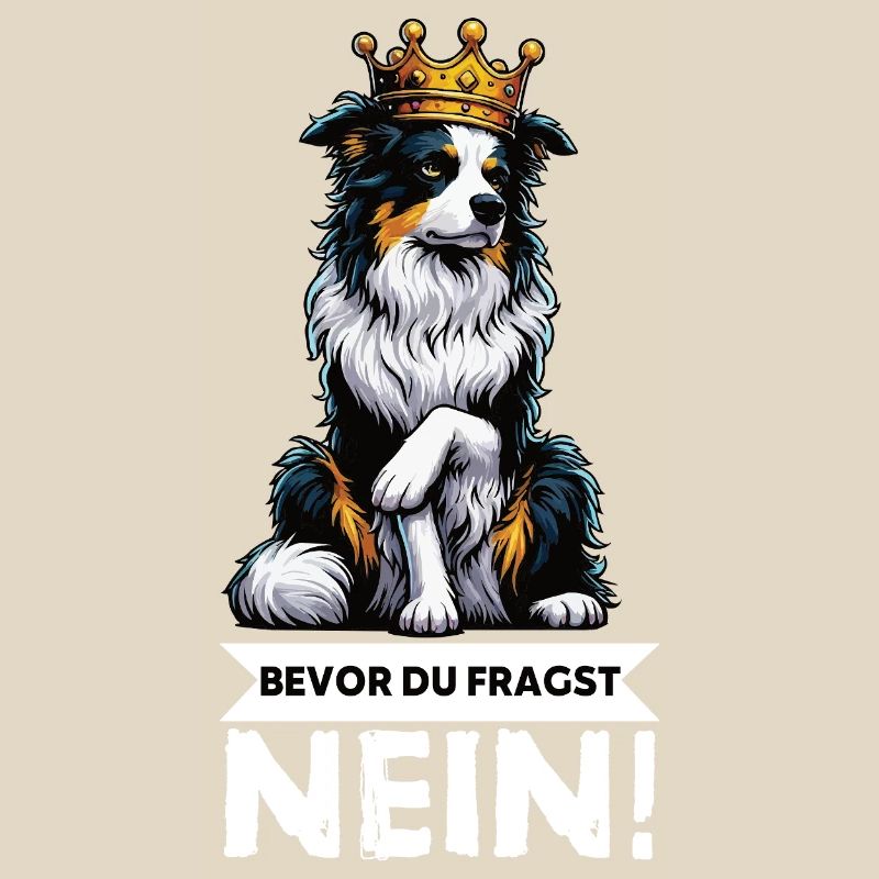 Before you ask: Australian Shepherd Aussie Aussie