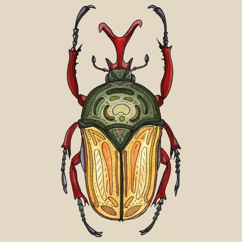 Big Stag - Coléoptère cerf géant
