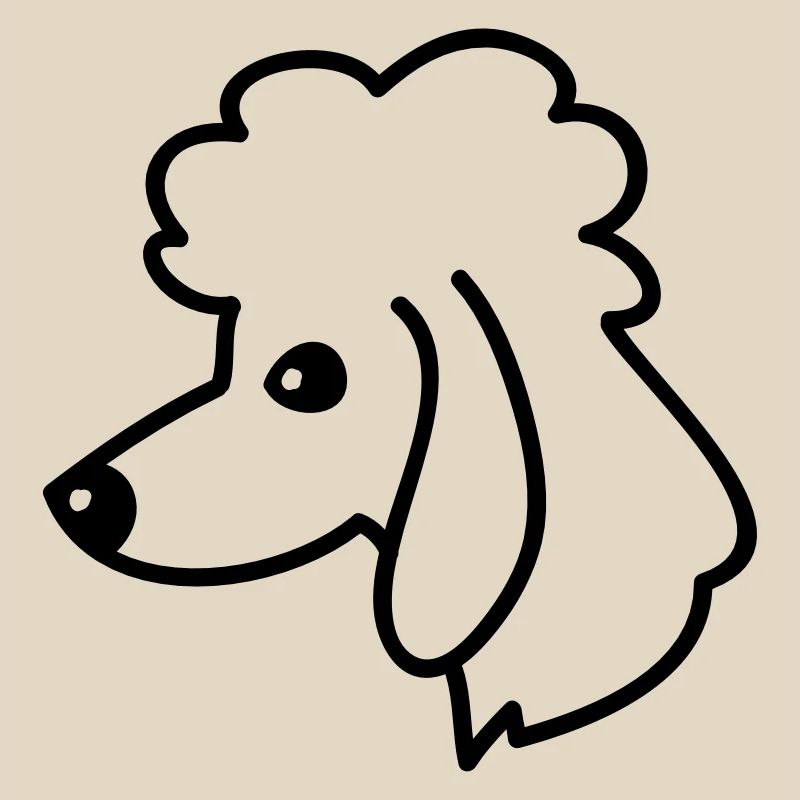 Portrait de caniche