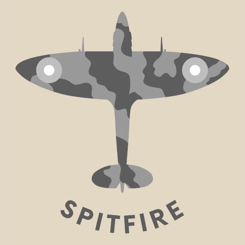 Spitfire fighter plane