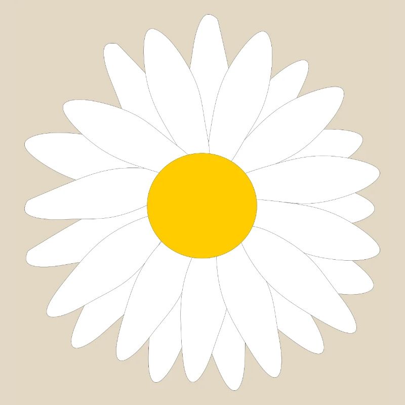 Blume weiß weiße Blumen Geschenk Muttertag Mutter