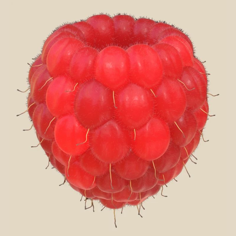 Raspberry Cluster Pattern
