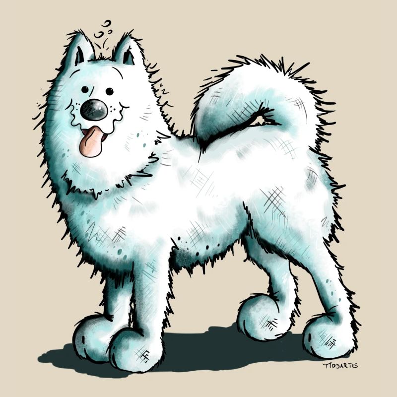 Sammy Samoyed - Samoyède