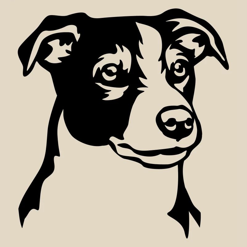 Jack Russell Terrier Head