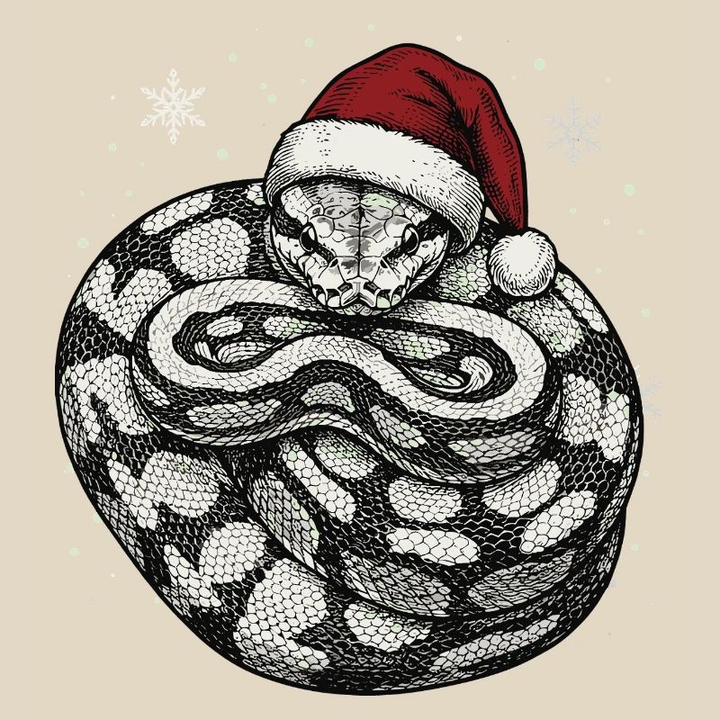 Königspython Weihnachten Ball Python Schlange