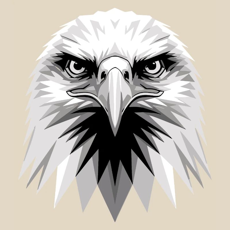 Eagle Bald Eagle Golden Eagle White-tailed Eagle