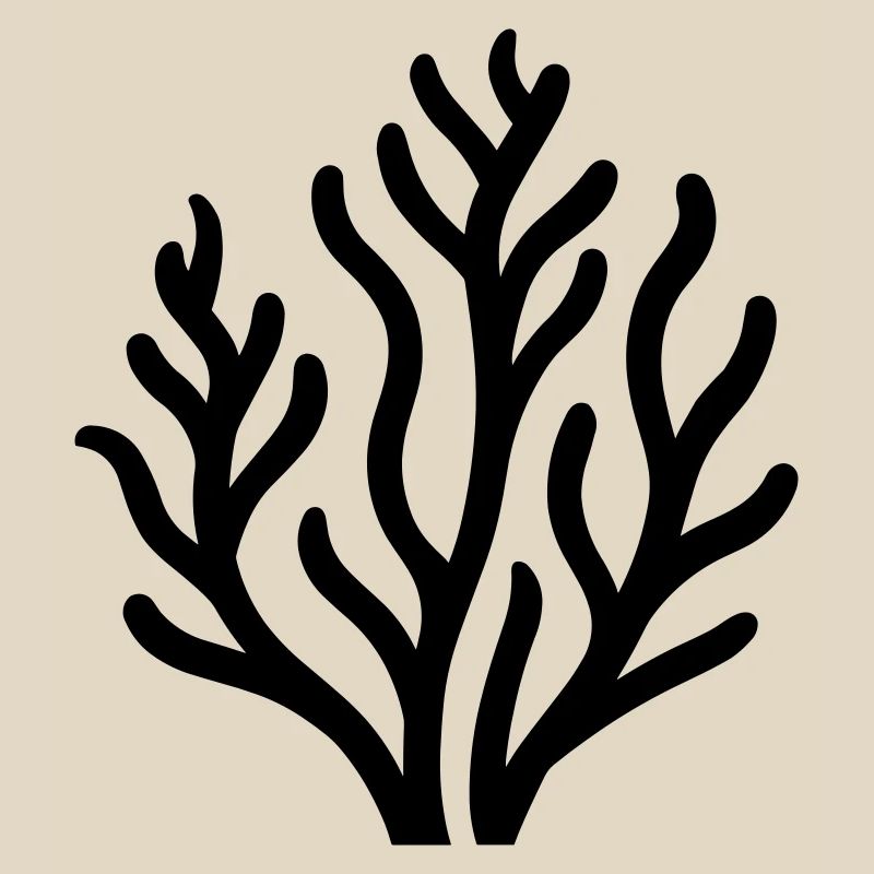algue
