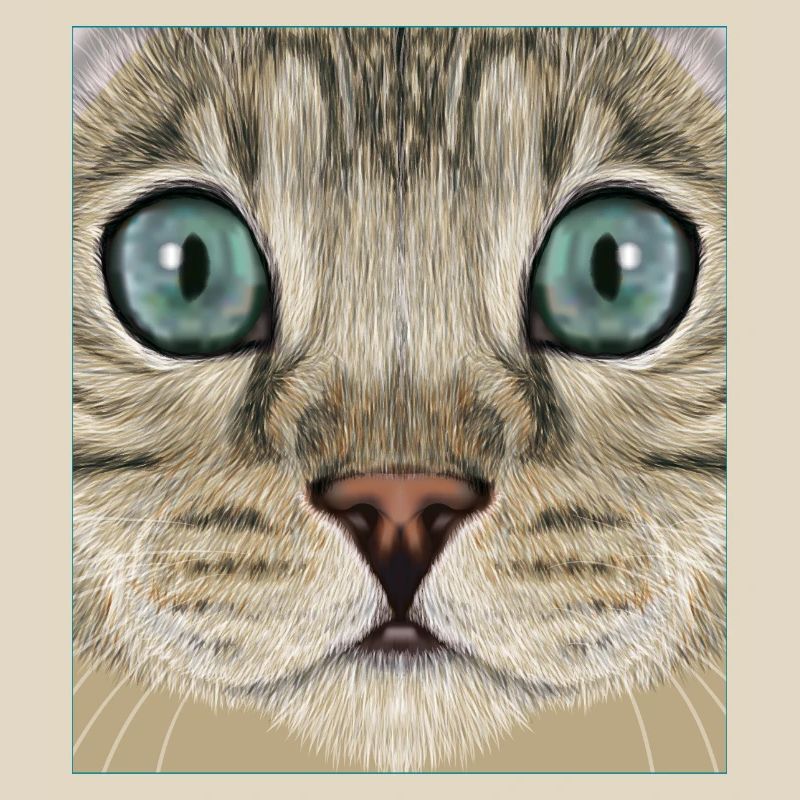 leopard cat