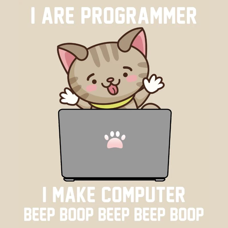 Programmer