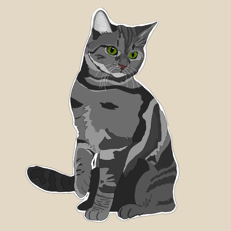 Chat gris