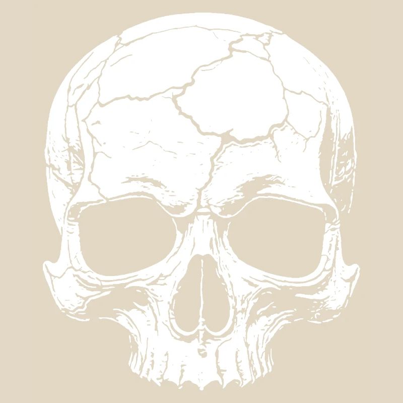 Abstract skull with cracks
