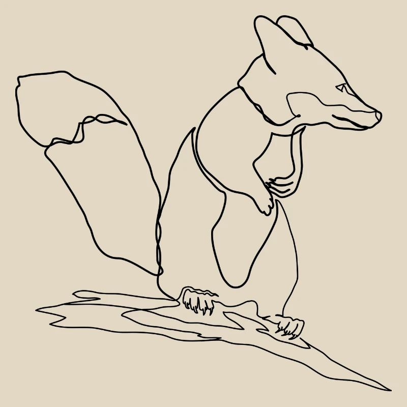 Fuchs Eichhörnchen Squirrel Fox