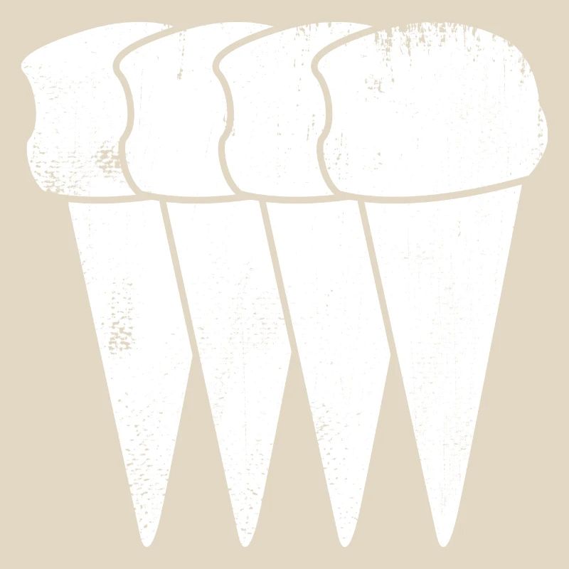 Cornets de crème glacée