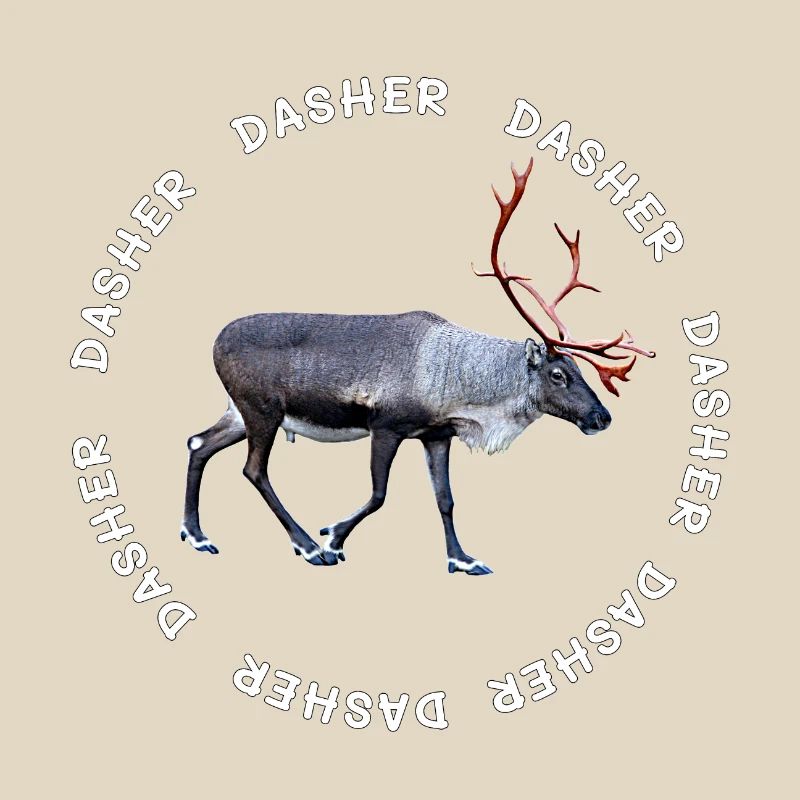 DASHER