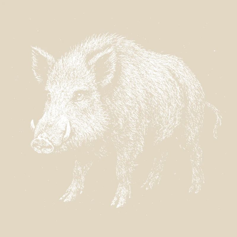 Wild boar