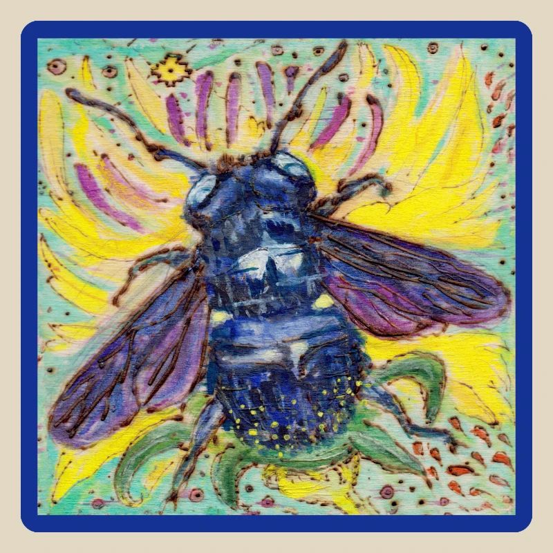 Carpenter bee
