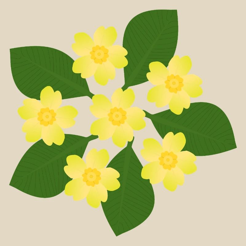 Février, Fleurs de naissance, primevères d’anniversaire, fleur d’anniversaire
