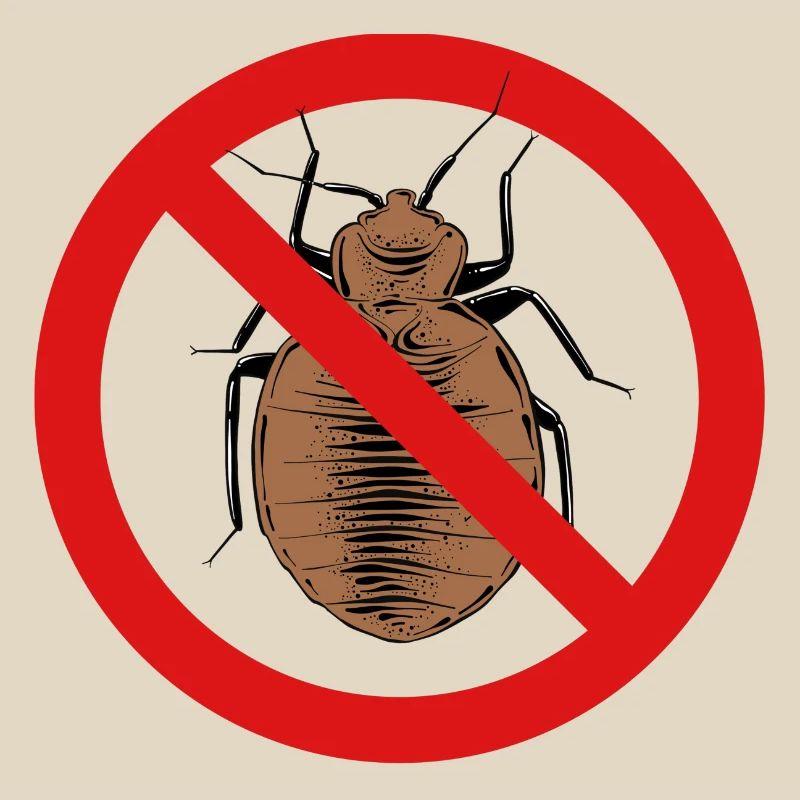 bed bug, bed bug