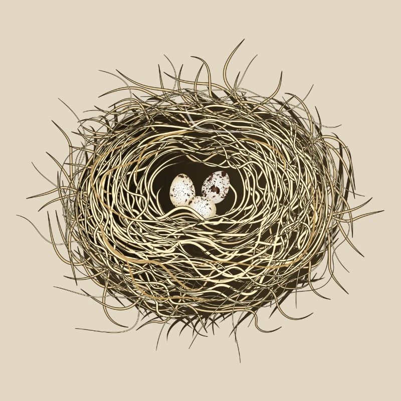 Vogelnest oder Osternest mit drei Vogel Eier