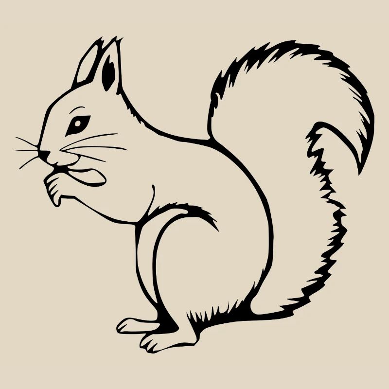 Squirrel