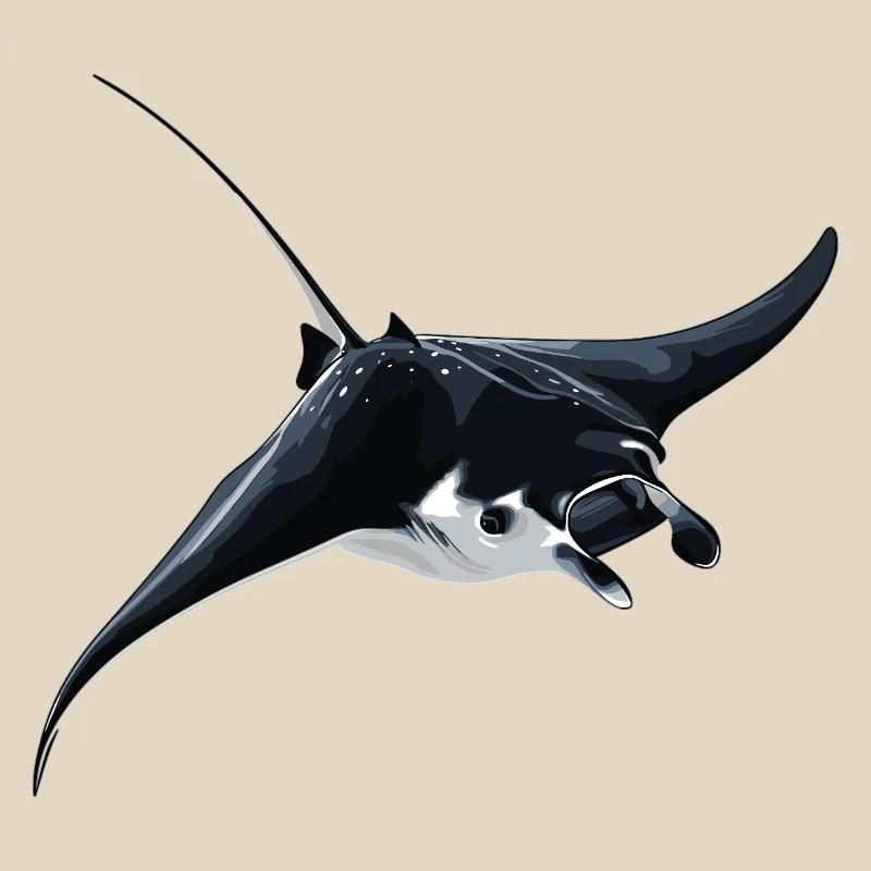 Rochen Mantarochen