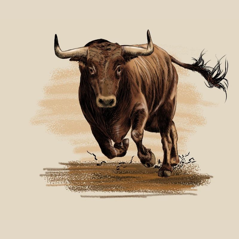 Bull