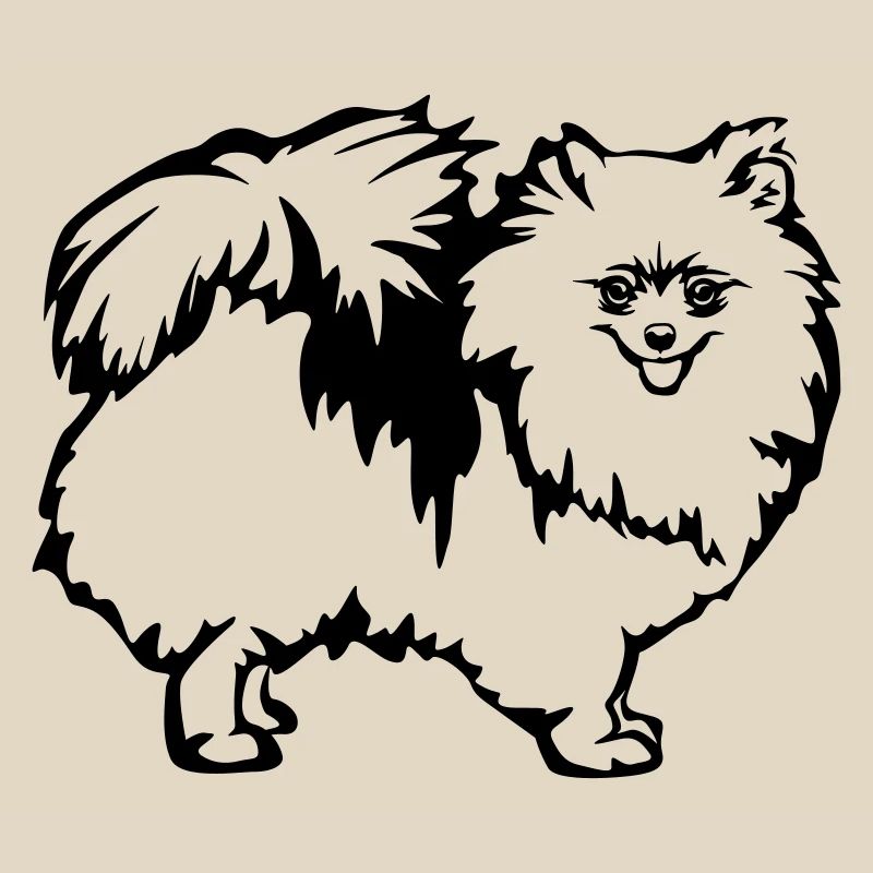Zwergspitz
