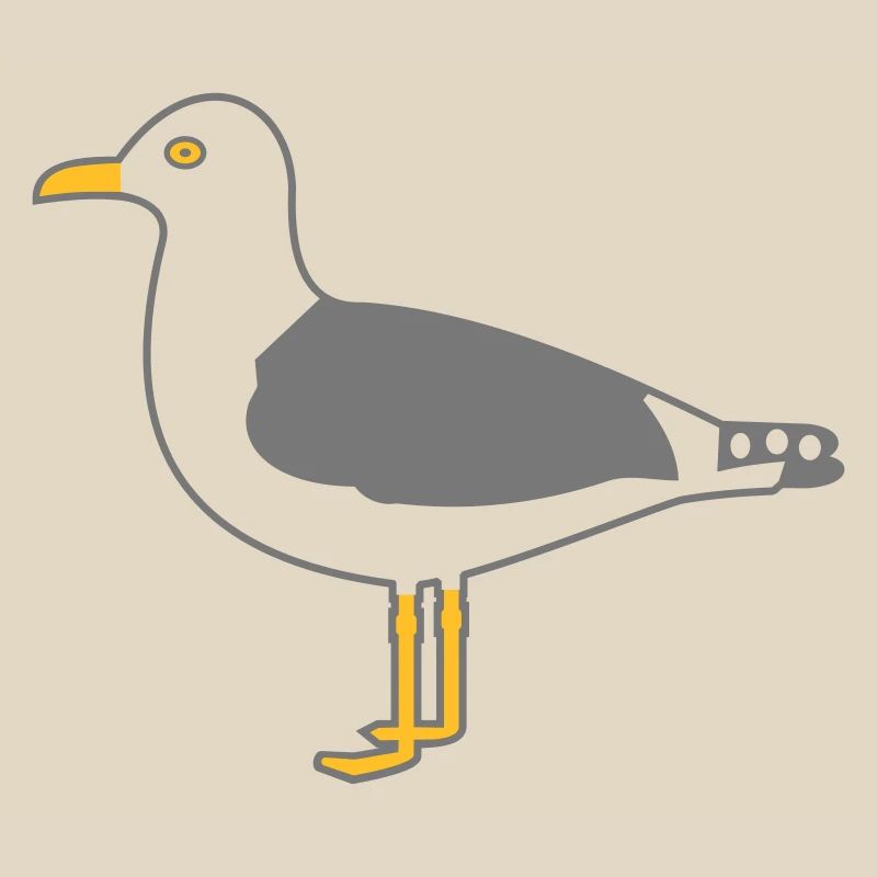 Silbermöwe