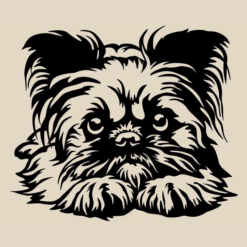 Brussels Griffon Head
