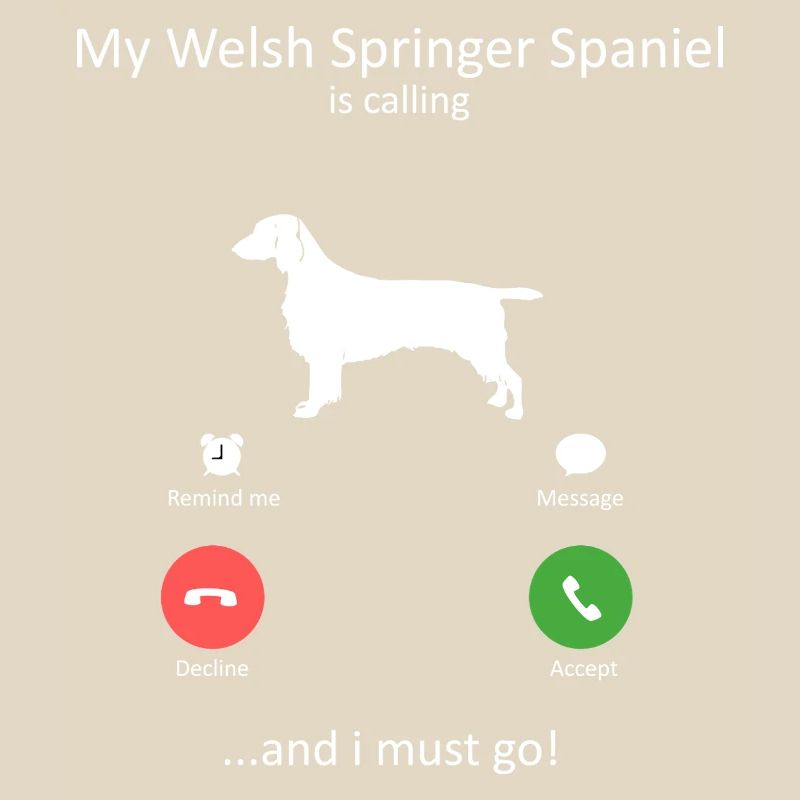 Welsh Springer Spaniel Is Calling Funny Dog