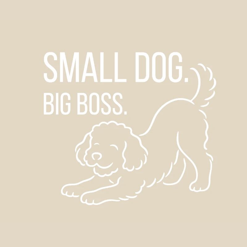 Zwergpudel, Malti-poo oder Königspudel 