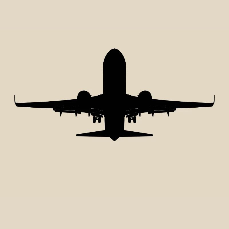 Flugzeug