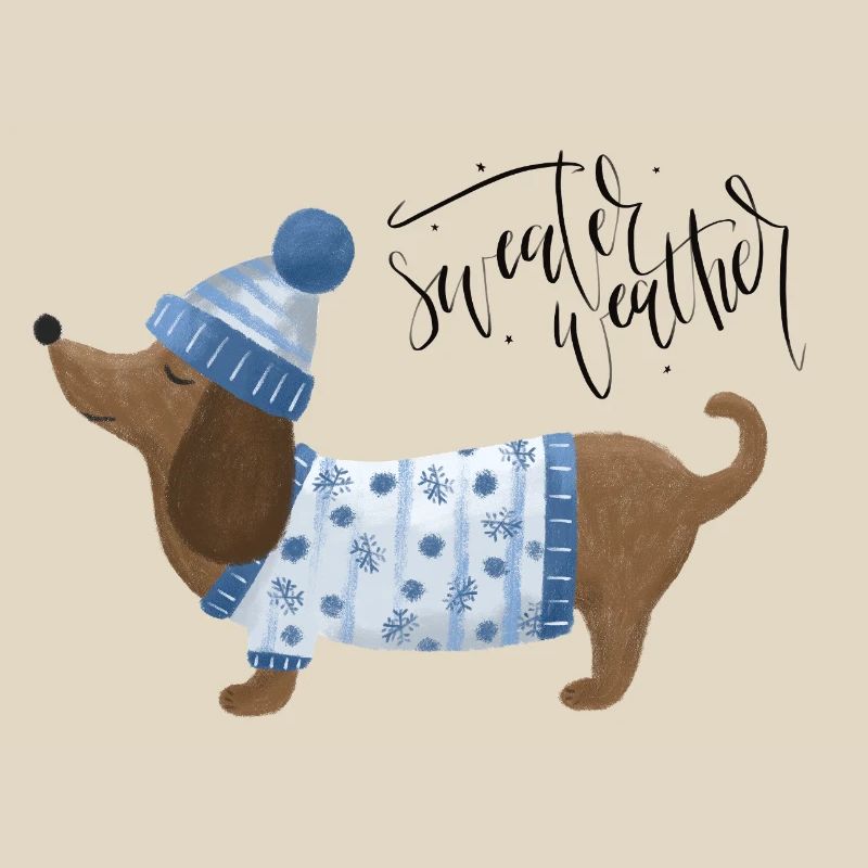 Teckel avec pull et chapeau Pull Météo bleu