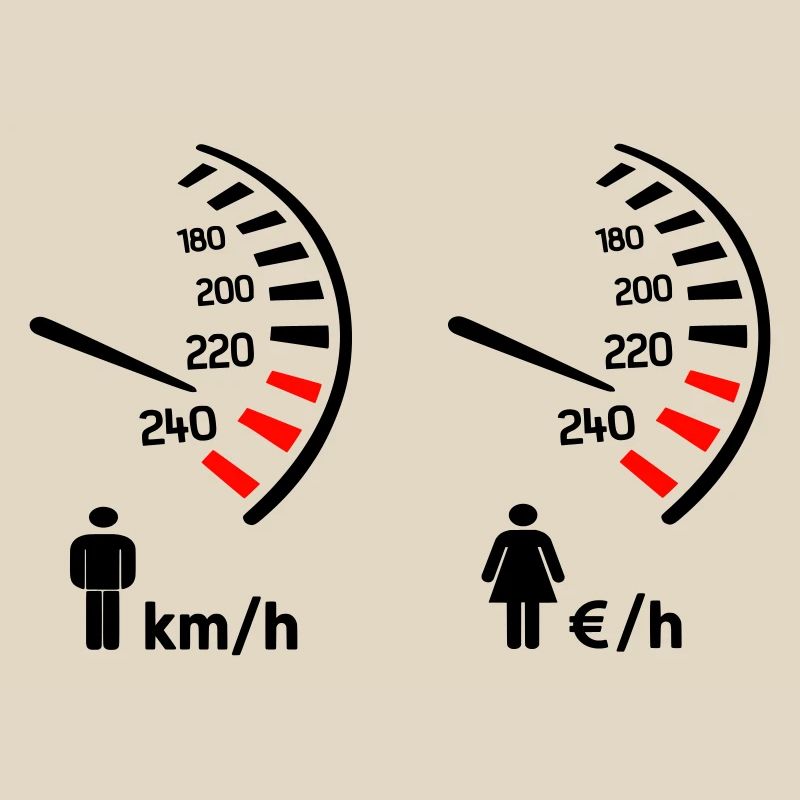 Speedometer km/h and expense meter