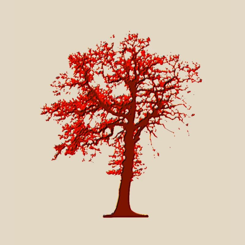  Tree Illustration