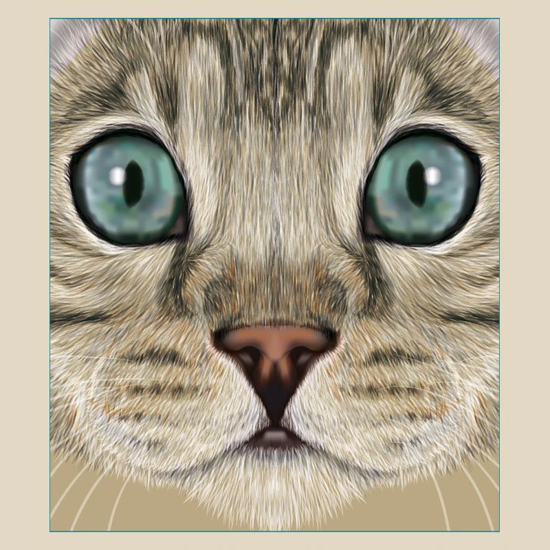 Chat léopard