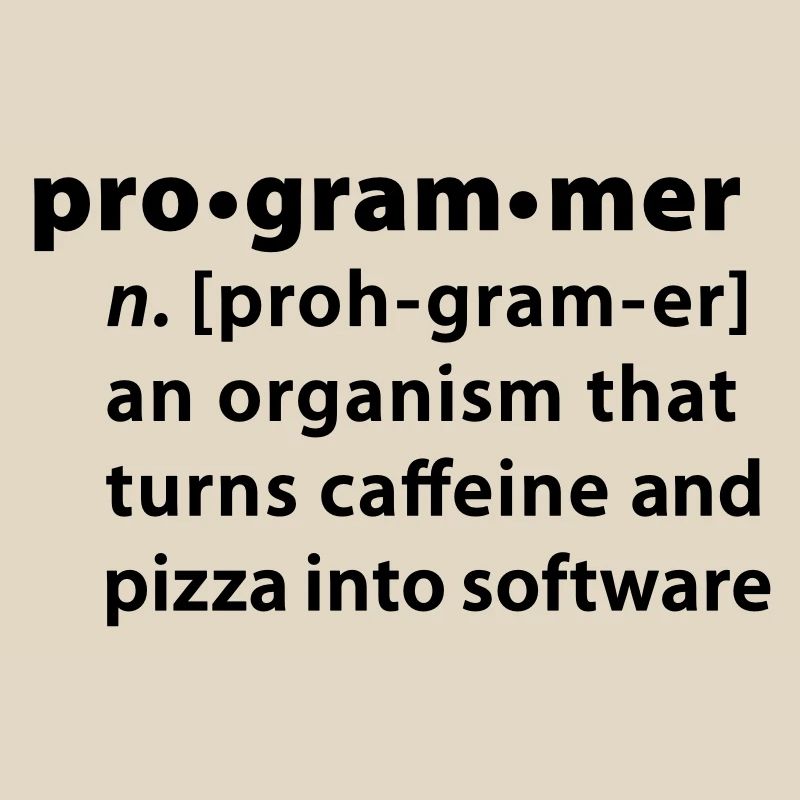 Programmdefinition - die Definition Programmer