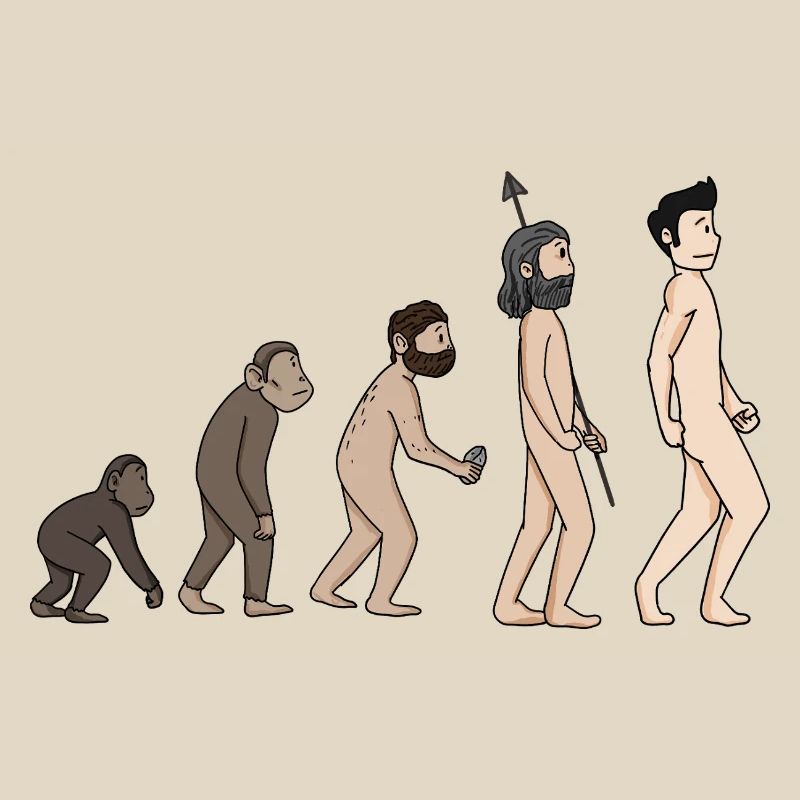 Human Development - Evolution Illustration