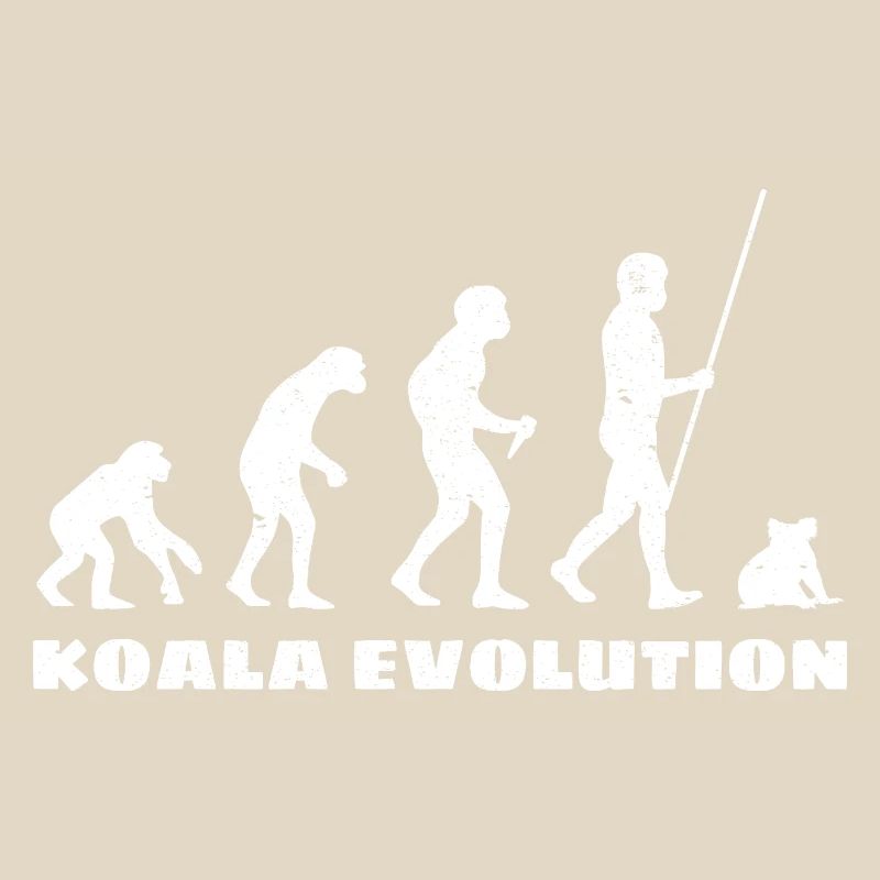 Évolution du koala