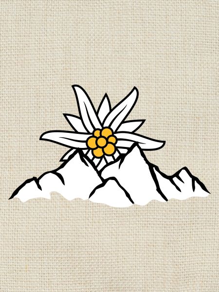 Sonne Bergblume Edelweiss