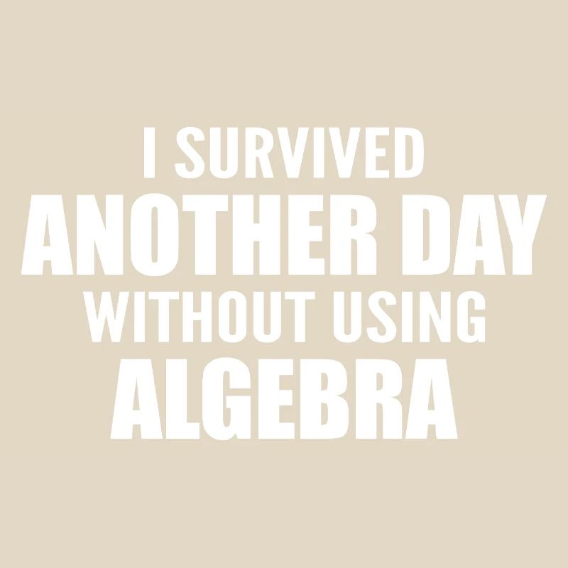 I survived without doing algebra today