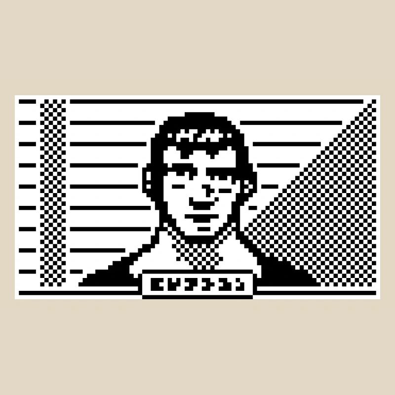 Portrait 8 bits