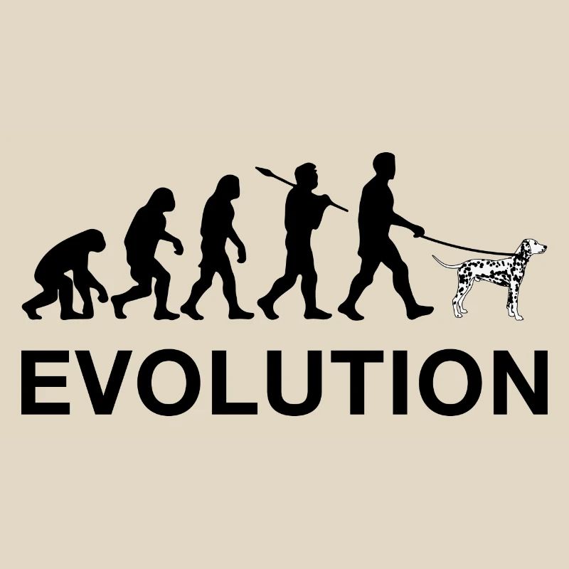 Evolution