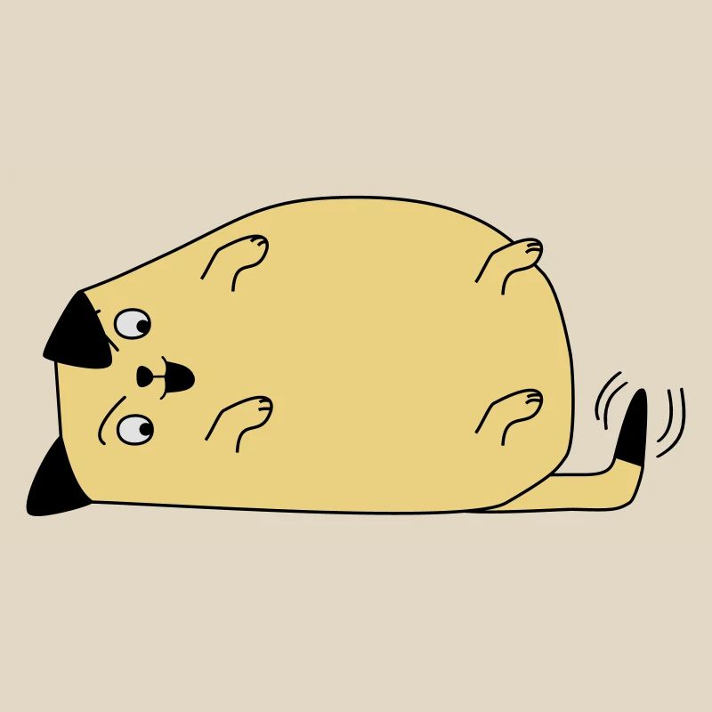 Chien regarde sa queue