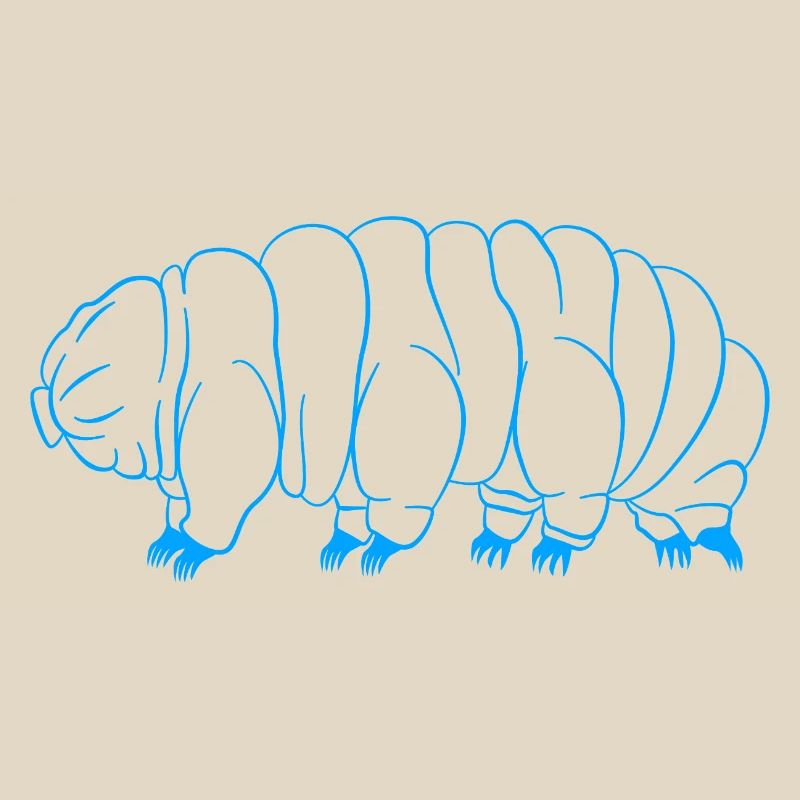 Tardigrade Tardigrade Water Bear Tardigrade
