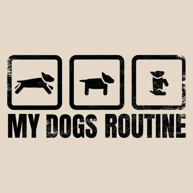 Routine canine
