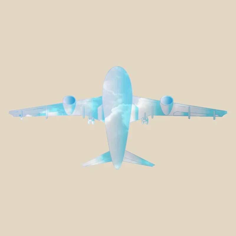 Passenger plane with cloud pattern