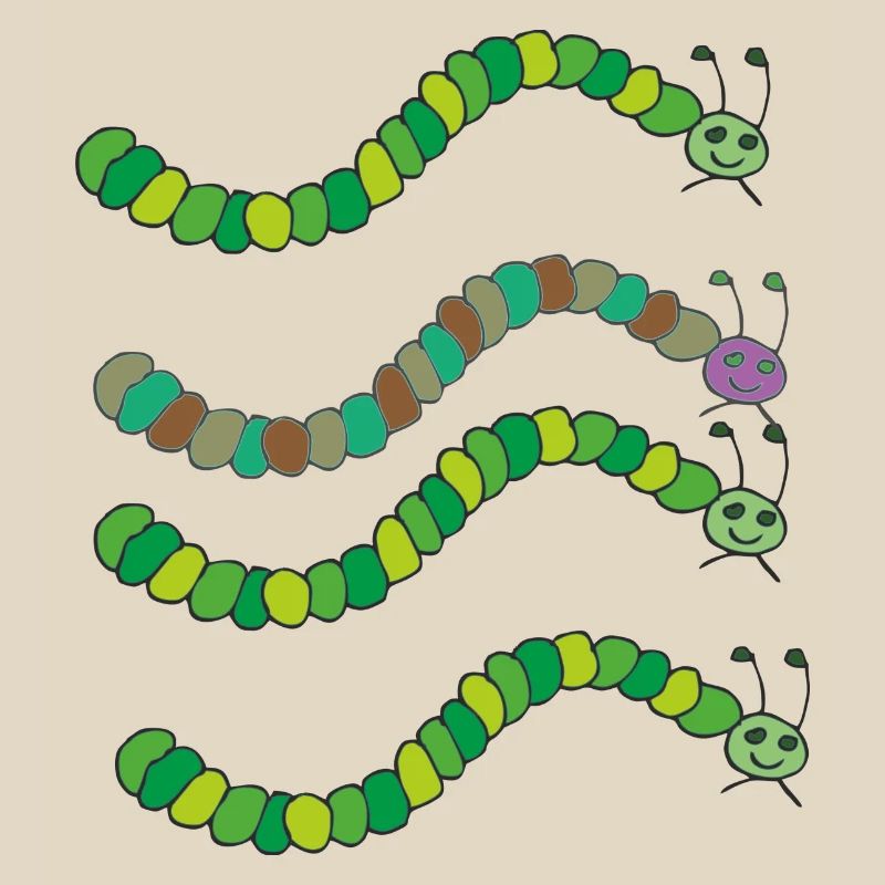 variété de chenille